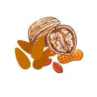 Nuts, hazelnuts, seeds