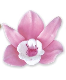 РОЗОВИ орхидеи 010 12 бр/кутия