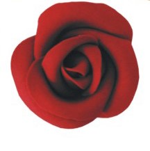 Захарна роза в цвят БОРДО 001 / A-12 DEK