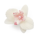 Малка бяла захарна орхидея 053800 Pejot комплект 20 бр.