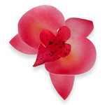 Вафлени декорации червена орхидея 11052802 Pejot компл 20 бр