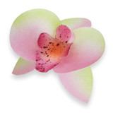 Вафлени декорации Орхидея шам фъстък-роза 11052812 комплект 20 бр. Pejot