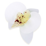 Бяла вафлена орхидея 11052800 PJT комплект 20 бр