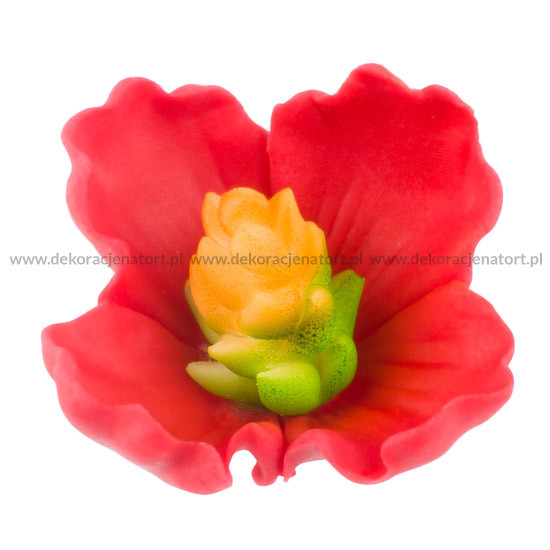 Захарни декорации цветя - Червен слез 053102 PJT комплект 26 бр.