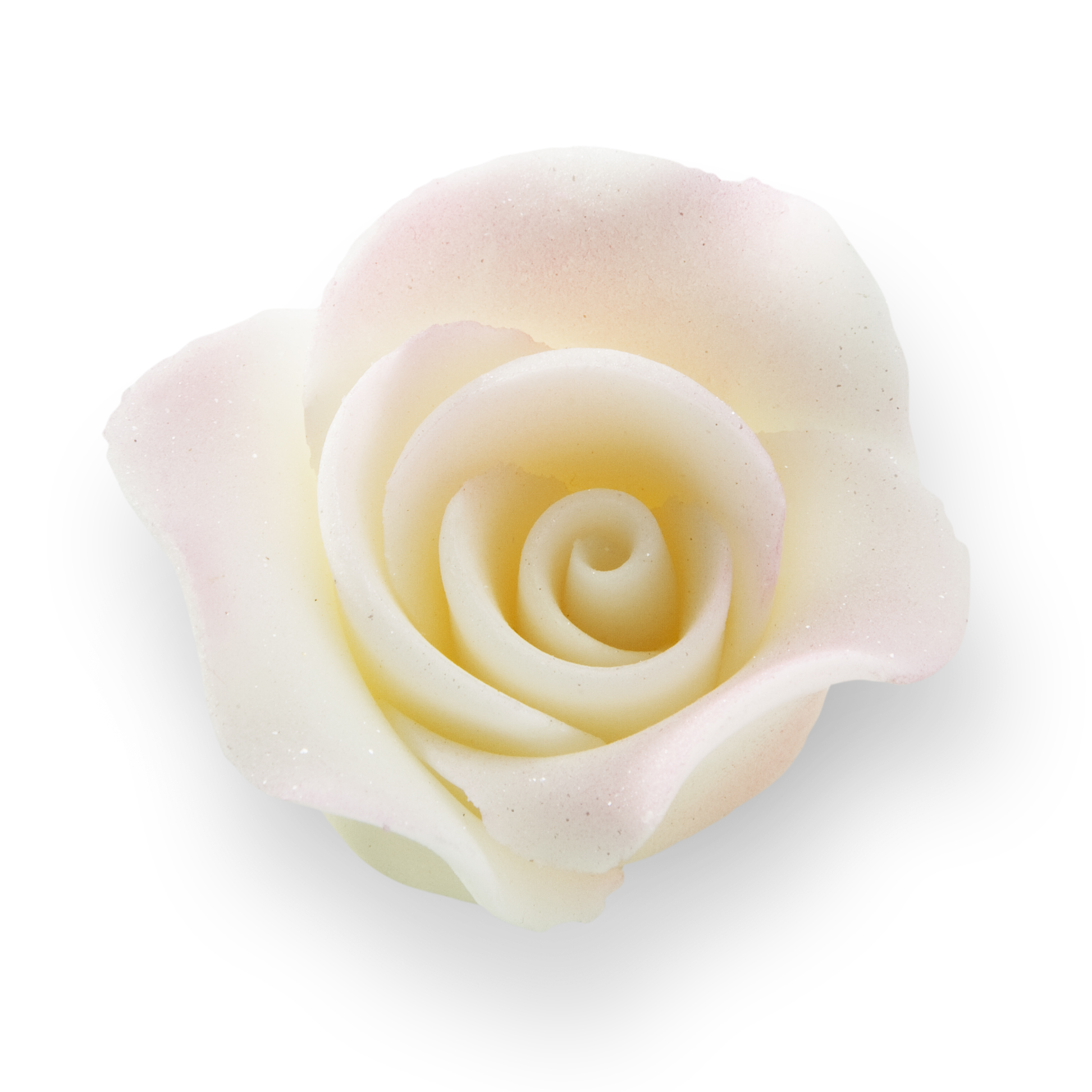 Средна бяла захарна роза с отенък 051300/c03 Pejot, комплект 20 бр.