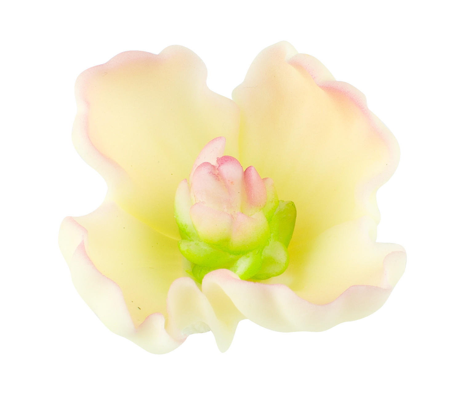 Decoratiuni din zahar flori de Nalbă Ecru 053106 PJT set 26 buc